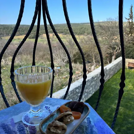 Kyla Kocadere Mansion Bed and Breakfast Eceabat